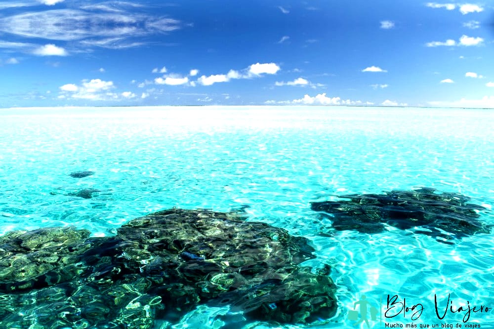 Qué hacer en Bora Bora Snorkel en los jardines de coral Qué hacer en Bora Bora Snorkel en los jardines de coral