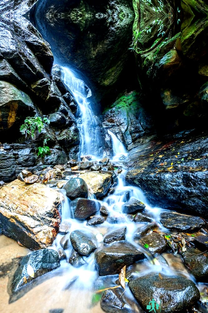 Qué hacer en Río de Janeiro Admira la belleza del Parque Nacional de Tijuca Qué hacer en Río de Janeiro Admira la belleza del Parque Nacional de Tijuca