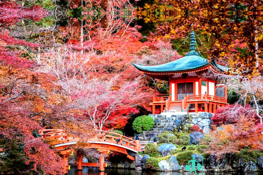 Most romantic places The gardens of Kyoto, Japan