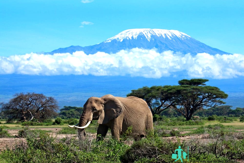 Volcanes alucinantes Monte Kilimanjaro, Tanzania