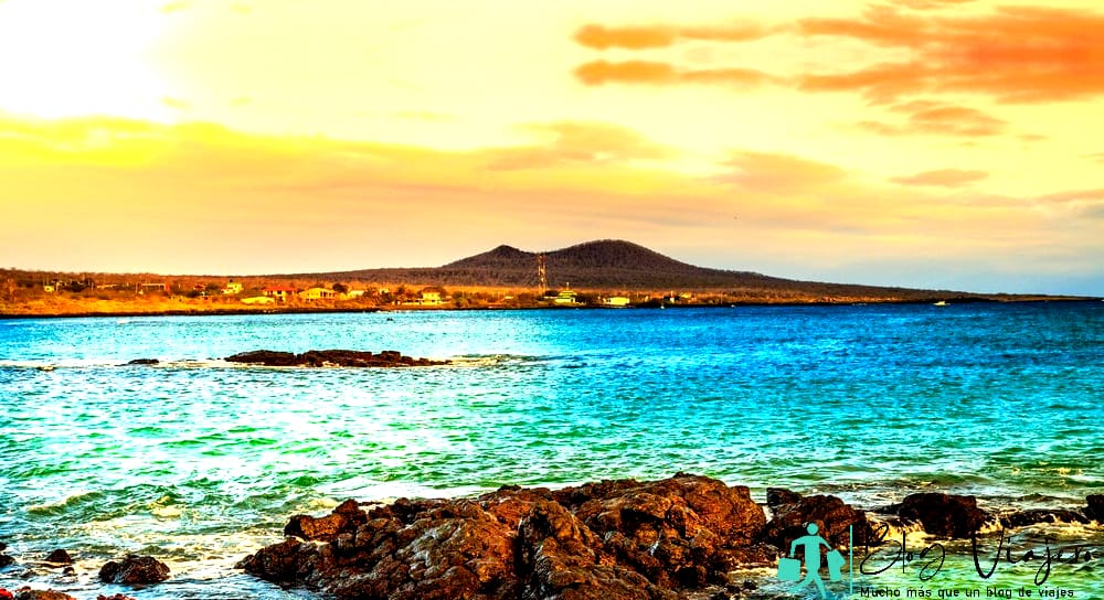 Viajar gratis Salvar a las tortugas - Galápagos Viajar gratis Salvar a las tortugas - Galápagos