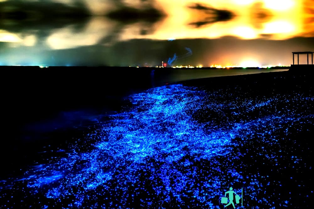 Los lugares más impresionantes: el mar de estrellas de Vadhoo Los lugares más impresionantes: el mar de estrellas de Vadhoo