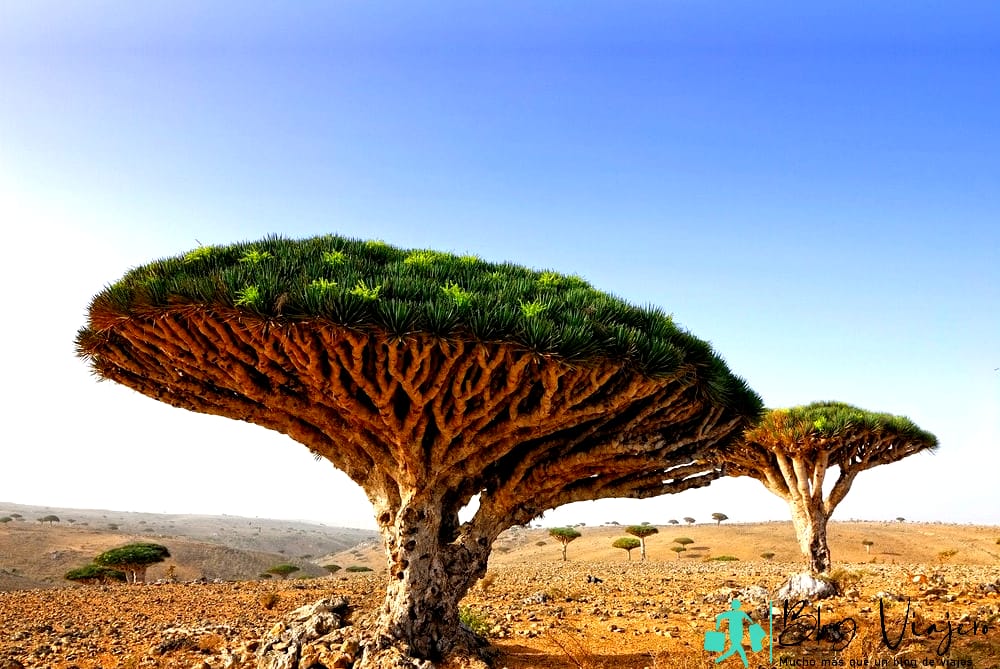 Las 10 ciudades más remotas del mundo - Socotra