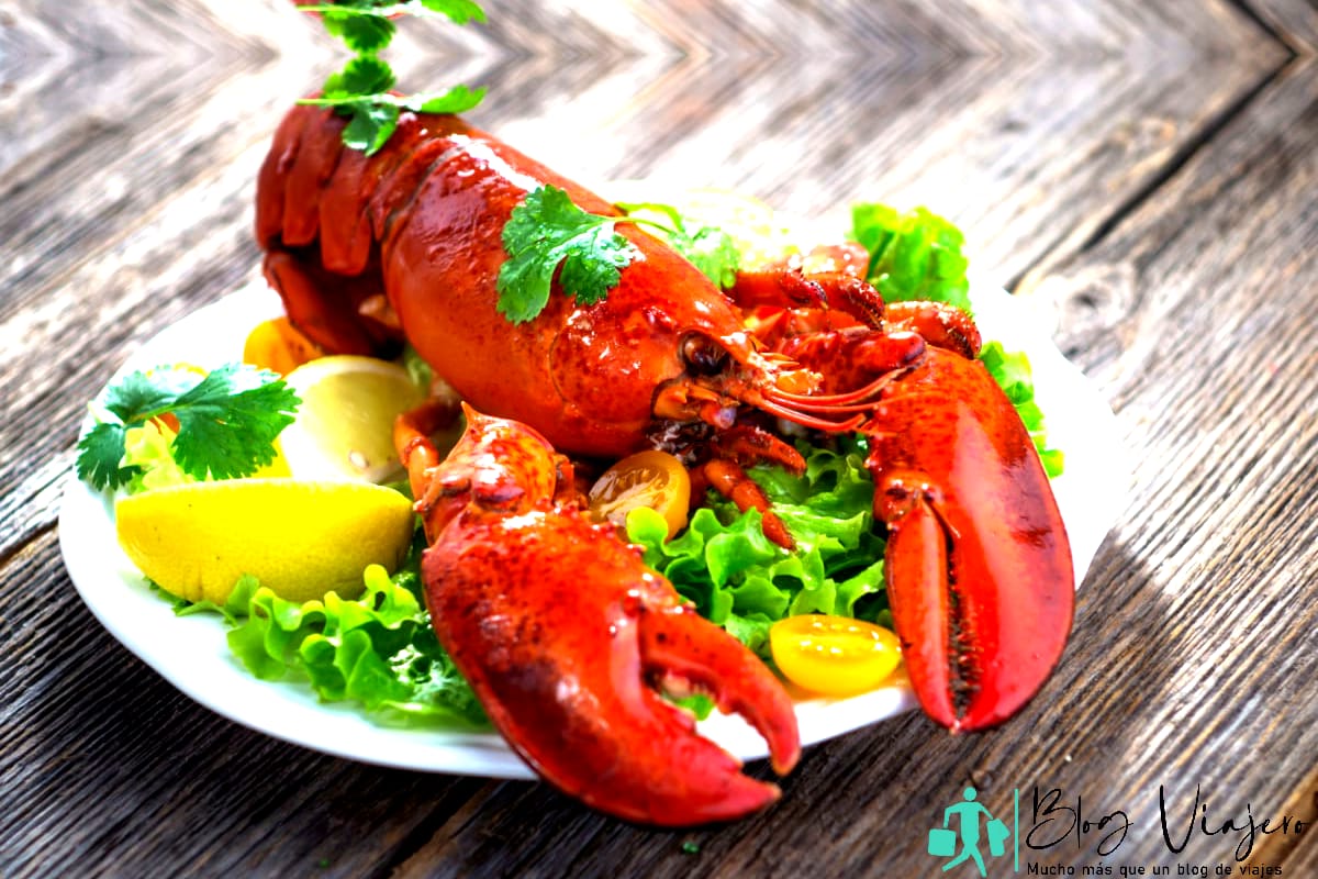 Una deliciosa langosta recién hervida