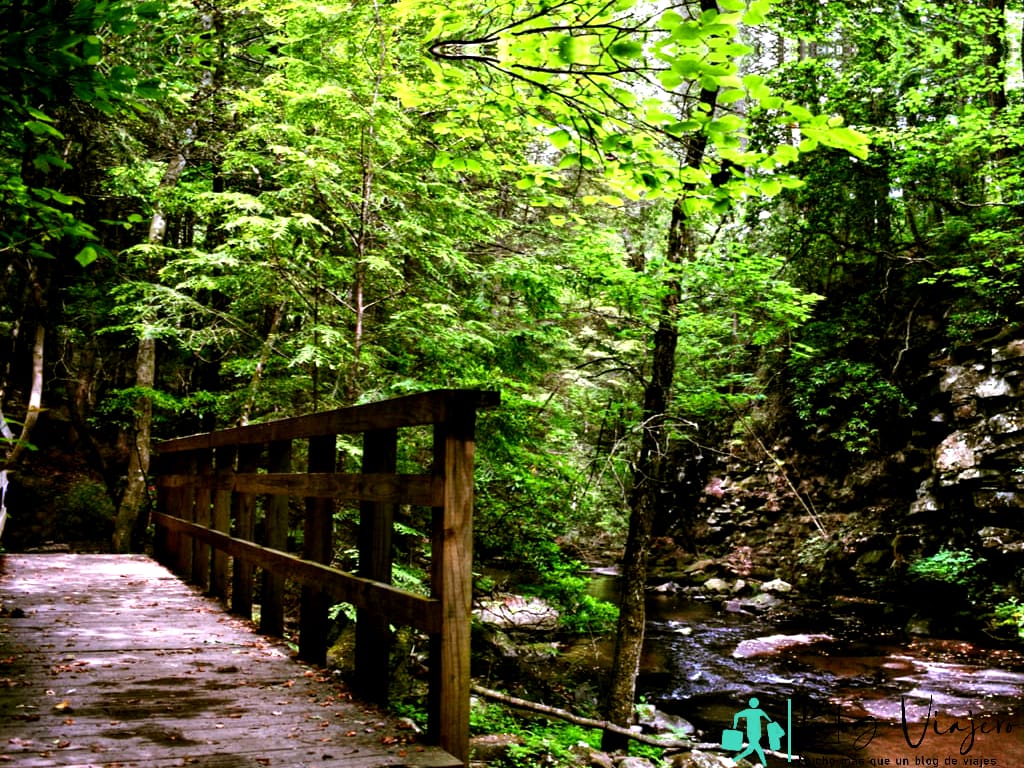 A hiker bridge on the Grundy Day and Fiery Gizzard Loop Trail