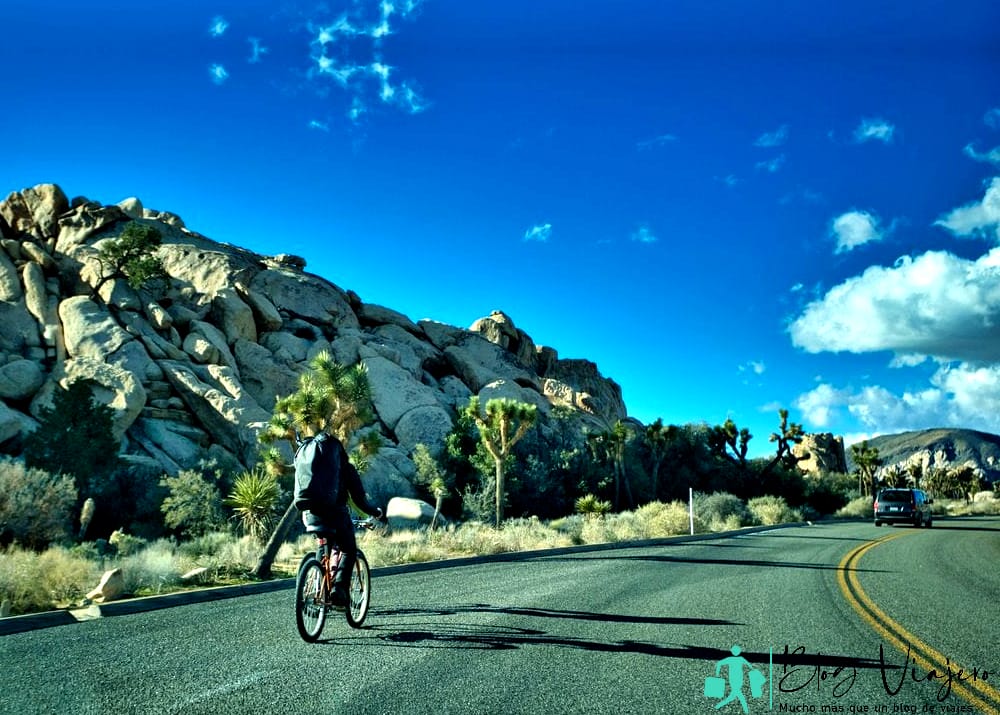 Mejor época para visitar Joshua Tree en bicicleta