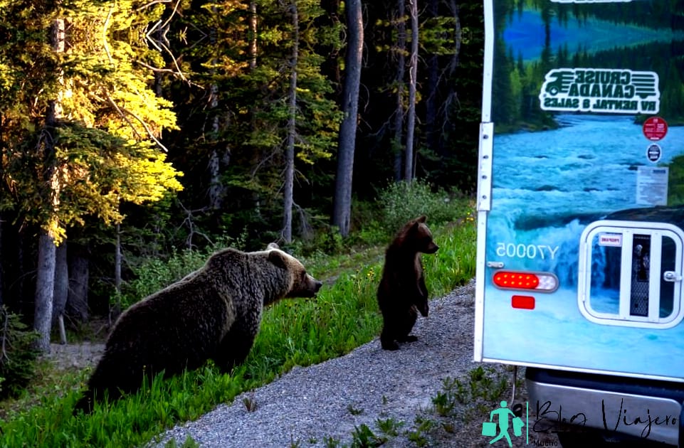 cosas canadienses impresionantes