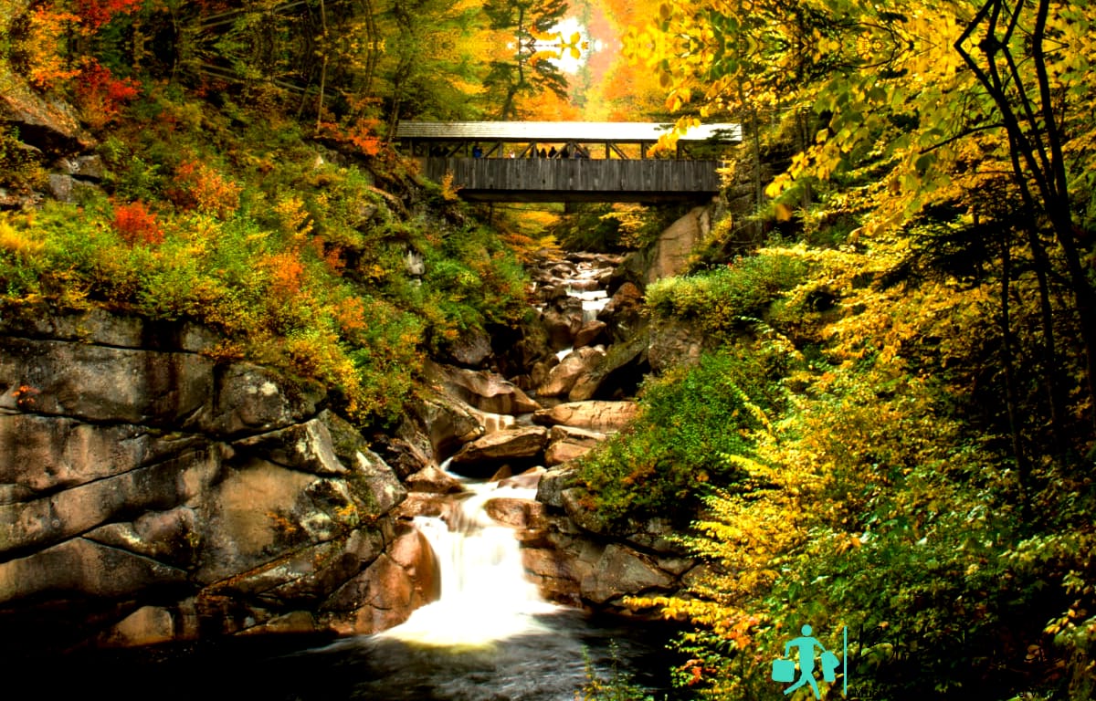 Beautiful The Flume Gorge in New Hampshire