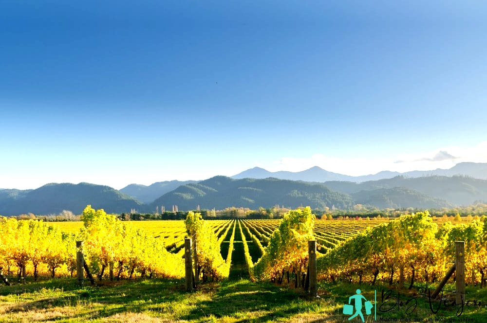El mejor lugar para vivir en Nueva Zelanda - Marlborough El mejor lugar para vivir en Nueva Zelanda - Marlborough