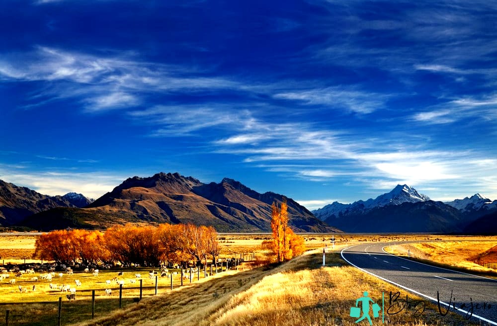 El mejor lugar para vivir en Nueva Zelanda - Canterbury El mejor lugar para vivir en Nueva Zelanda - Canterbury