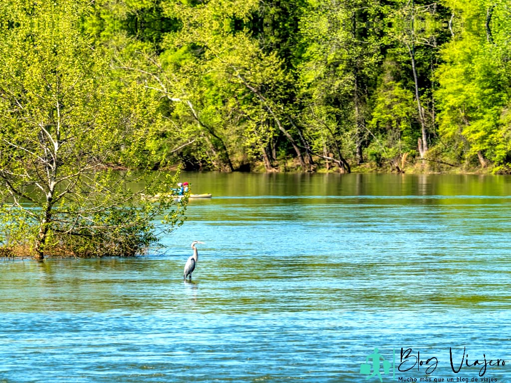 Parque estatal de la isla de Catawba