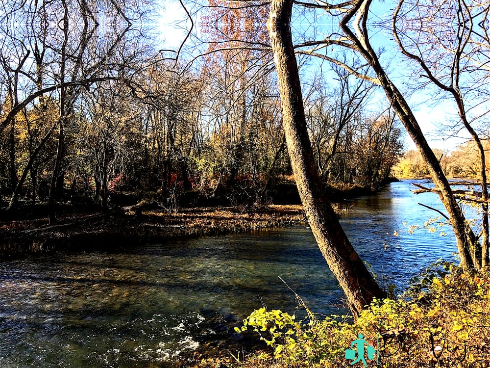 Sitio de conservación en Wildcat Glades Conservation y Audubon Center - Cosas que hacer en Joplin MO gratis