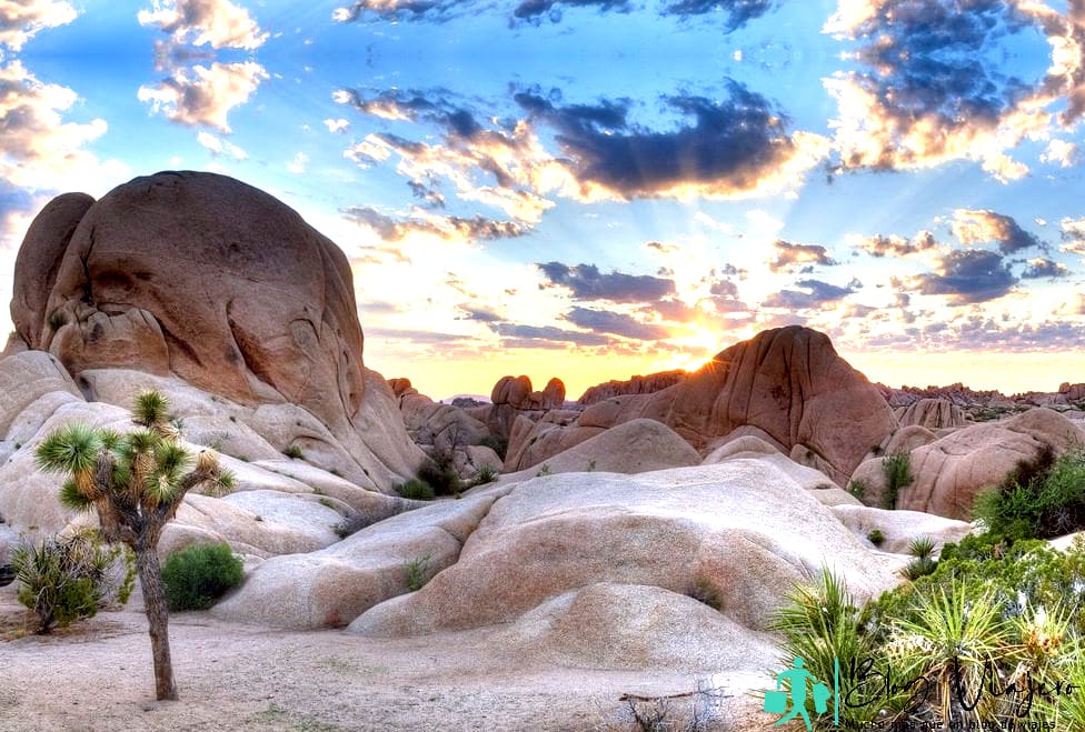 Mejor época para ir a Joshua Tree
