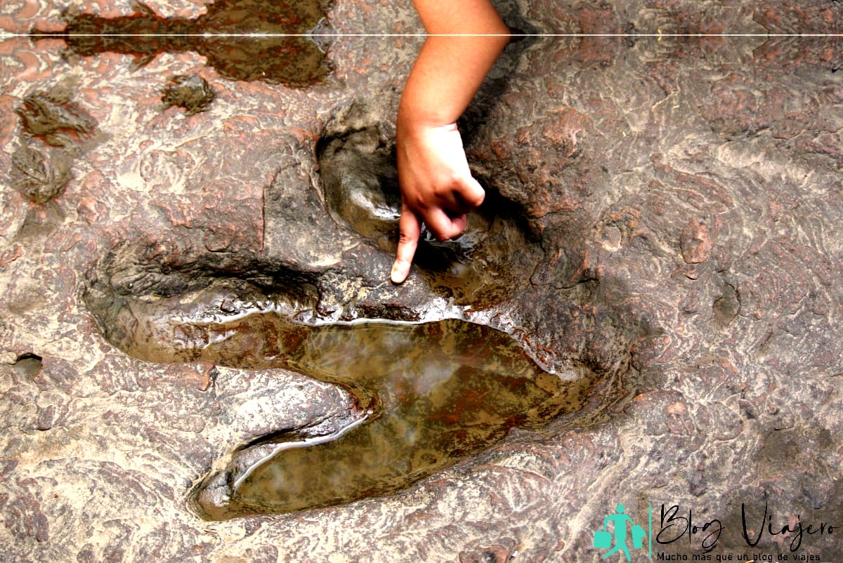 Huella de dinosaurio