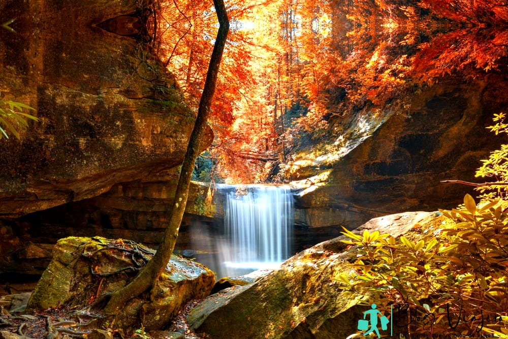 Dog Slaughter Falls en el Bosque Nacional Daniel Boone - Cataratas en Kentucky