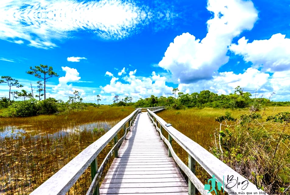 Parques Nacionales en Florida