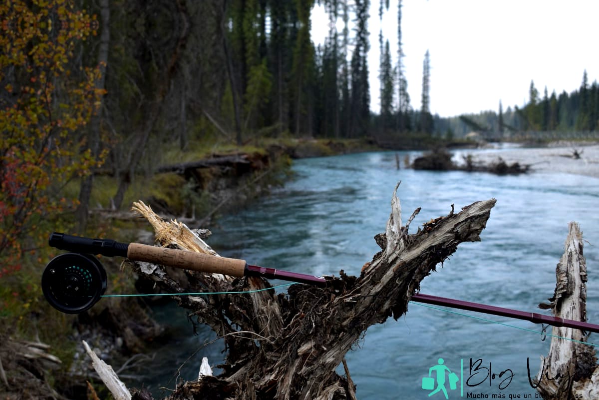Caña de pescar doblada sobre una madera para pescar en el río Kootenay, Canadá.