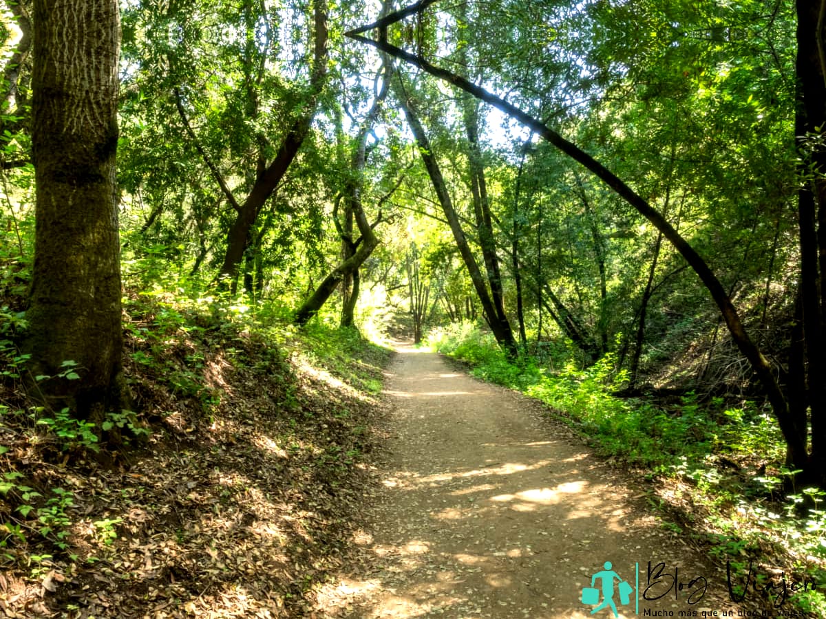 Ruta de senderismo para los amantes de las aves