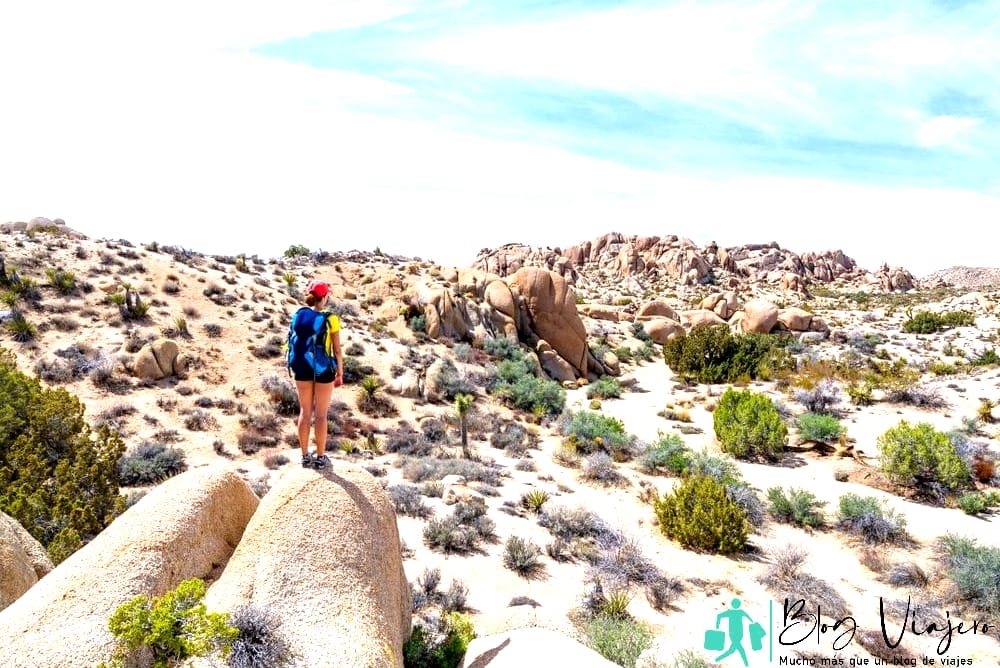 El mejor momento para hacer senderismo en Joshua Tree Park