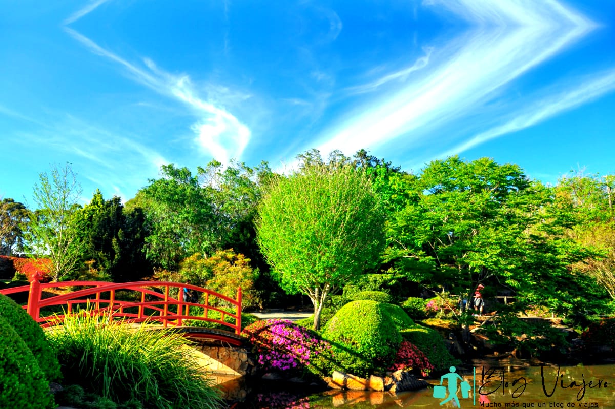 Jardín japonés Toowoomba con vistas al puente de madera rojo.