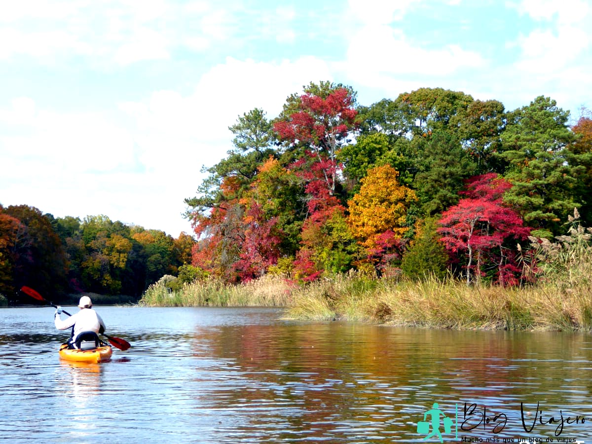 Kayak cerca del follaje de otoño en Maryland y sus alrededores