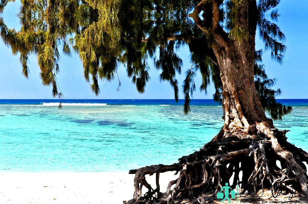 Playa de La Saline les Bains, Isla de la Reunión - Playas de La Reunión