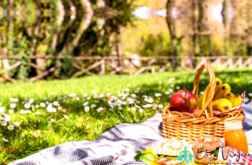 Picnic en Cunningham Park Joplin Mo - Cosas que hacer en Joplin MO este fin de semana