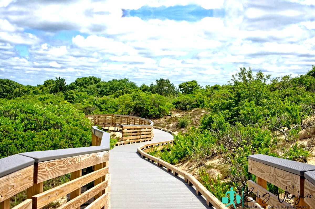 Rutas de senderismo en Plum Island