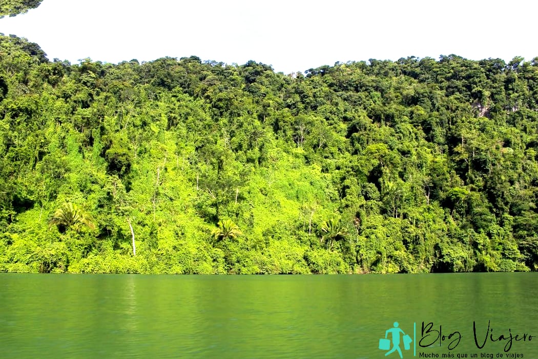 Rio Dulce with greenery