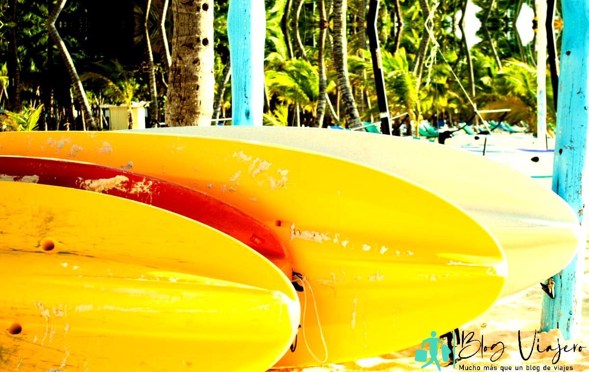 Tablas de surf alineadas para surfear