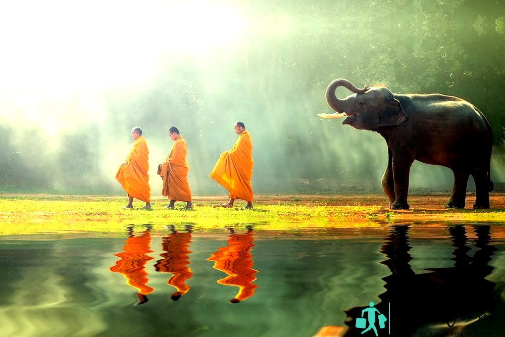 Elefante y monjes de Tailandia