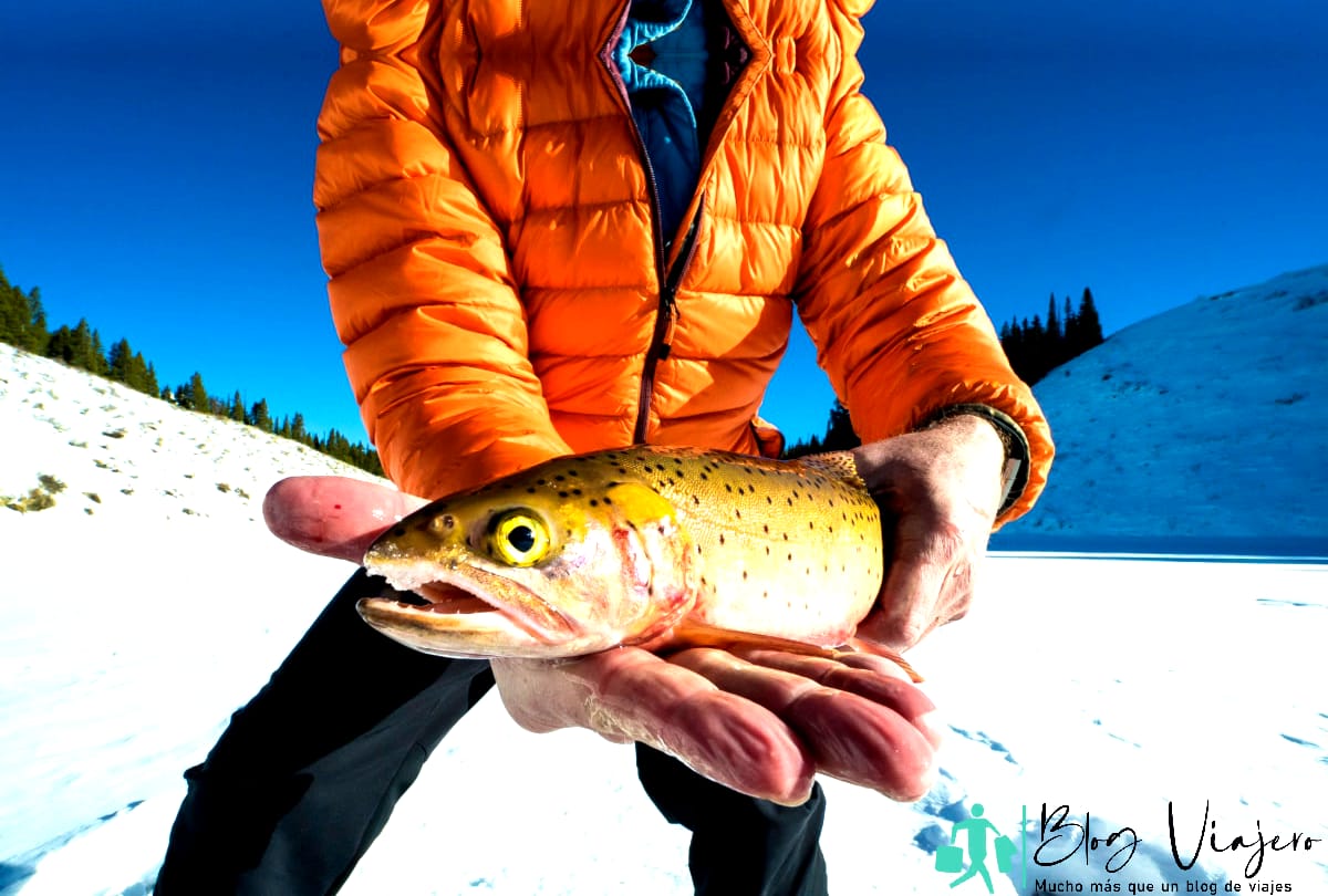 Things to do in Utah in Winter - man fishing in the winter with a successful catch