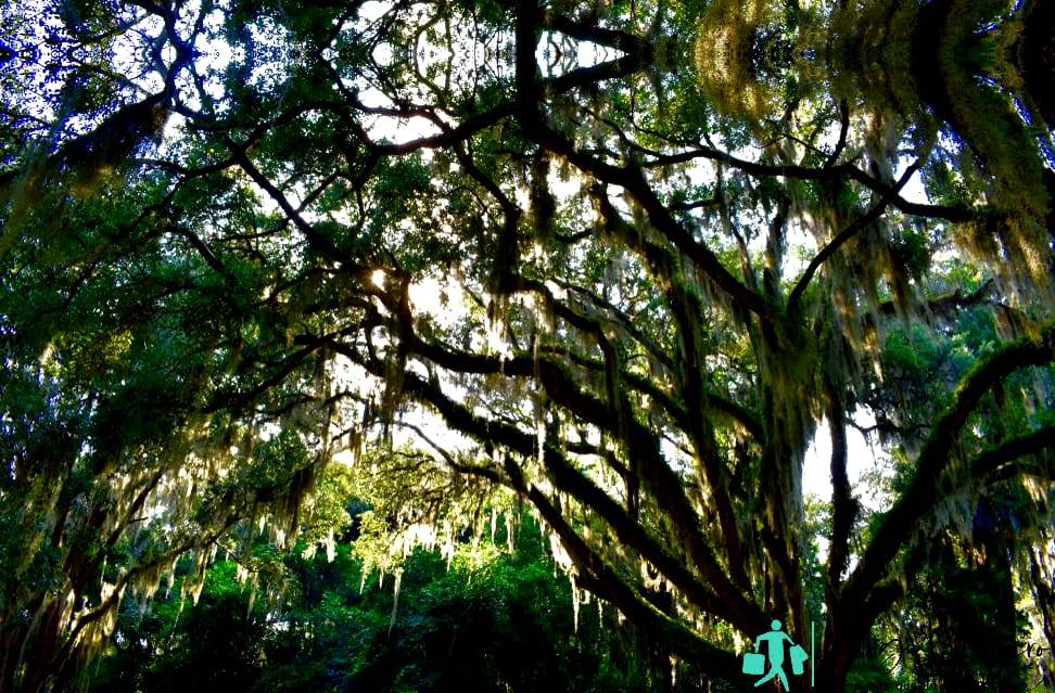 Parque Ecológico Timucuan en Florida