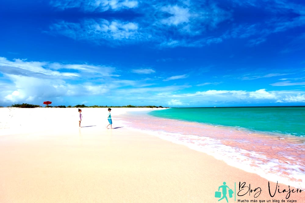Dos niños corriendo felizmente en la exclusiva playa de arena rosa en la isla tropical de Barbuda en el Caribe - Antigua en agosto