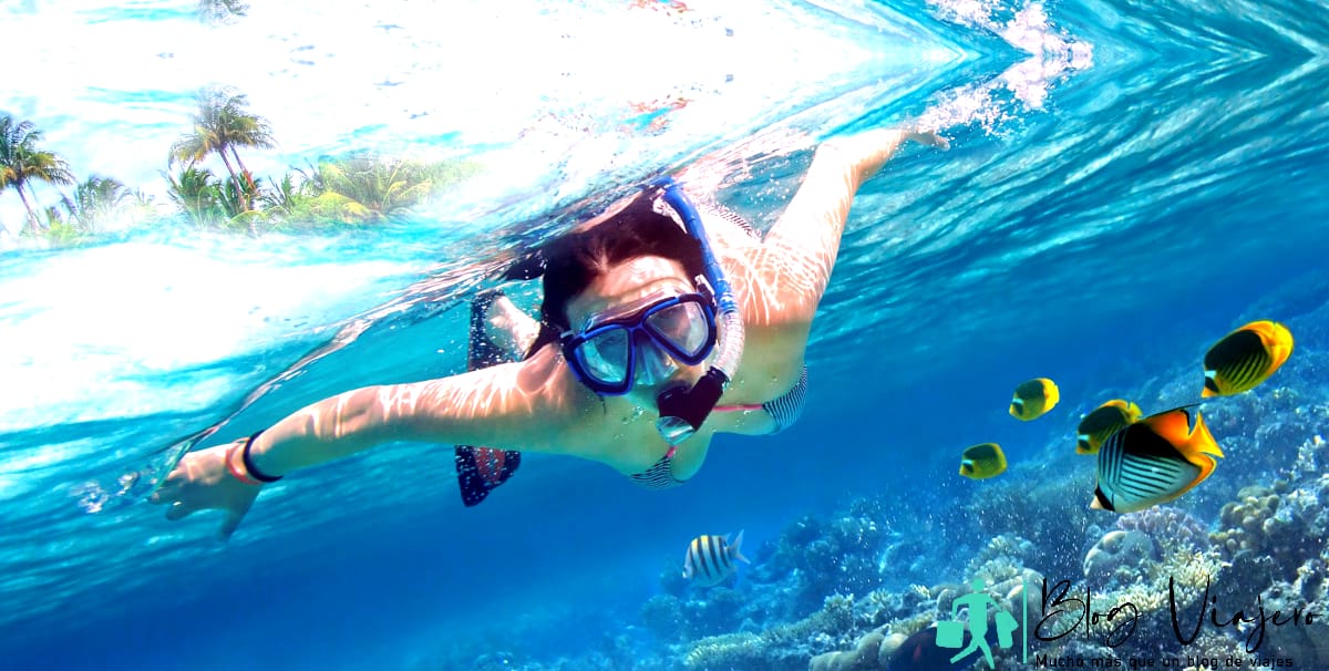 Women snorkeling in tropical ocean 