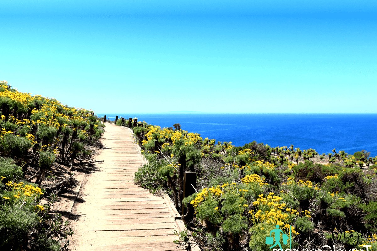 Hiking trail in Malibu that leads to the ocean