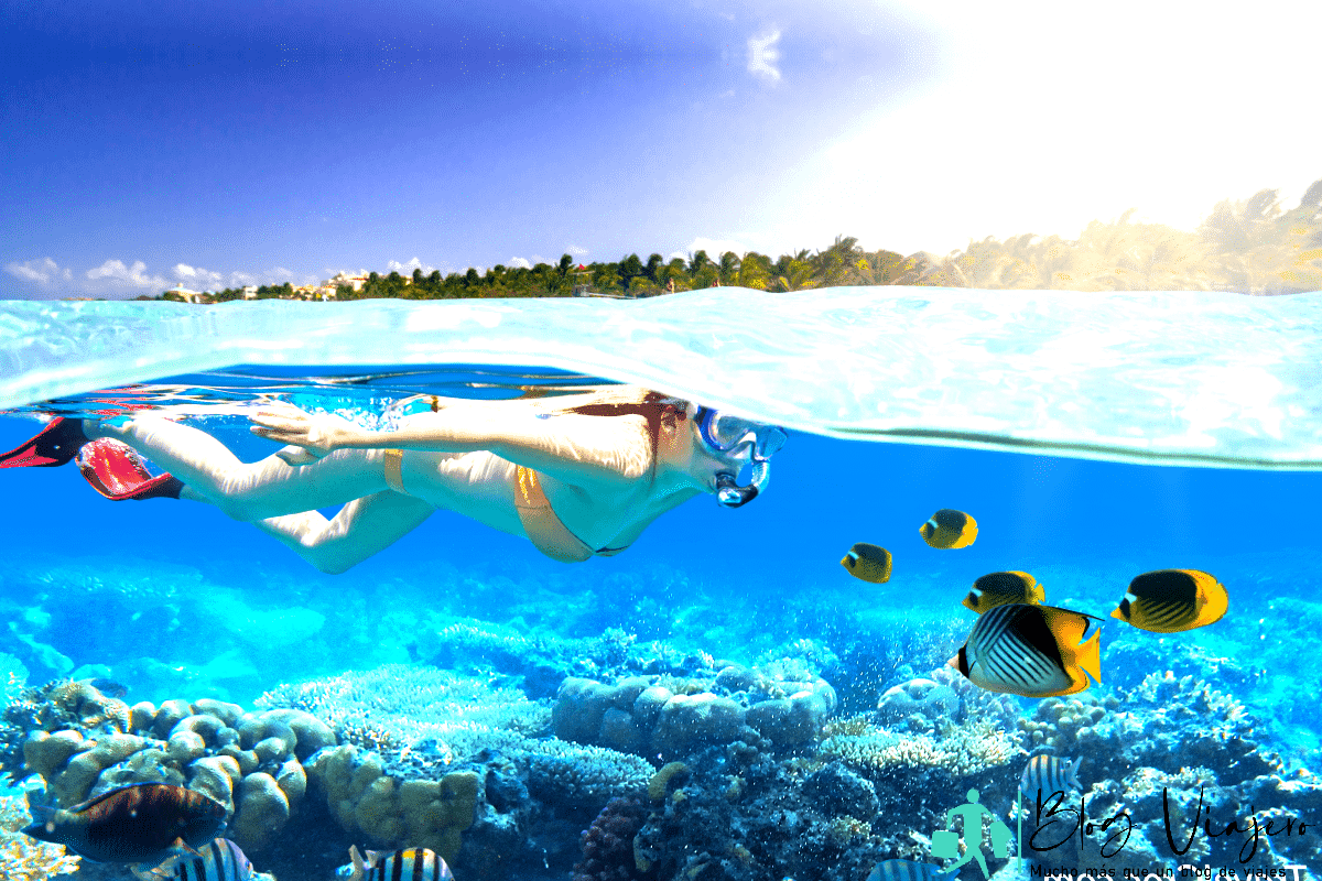 Mujer buceando y mirando y hermosos corales y peces