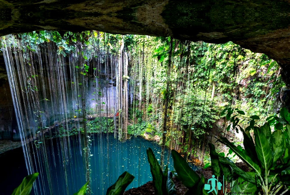 Paisajes tropicales naturales inusuales - Cenote Ik-Kil, México Tour de snorkel en Playa del Carmen
