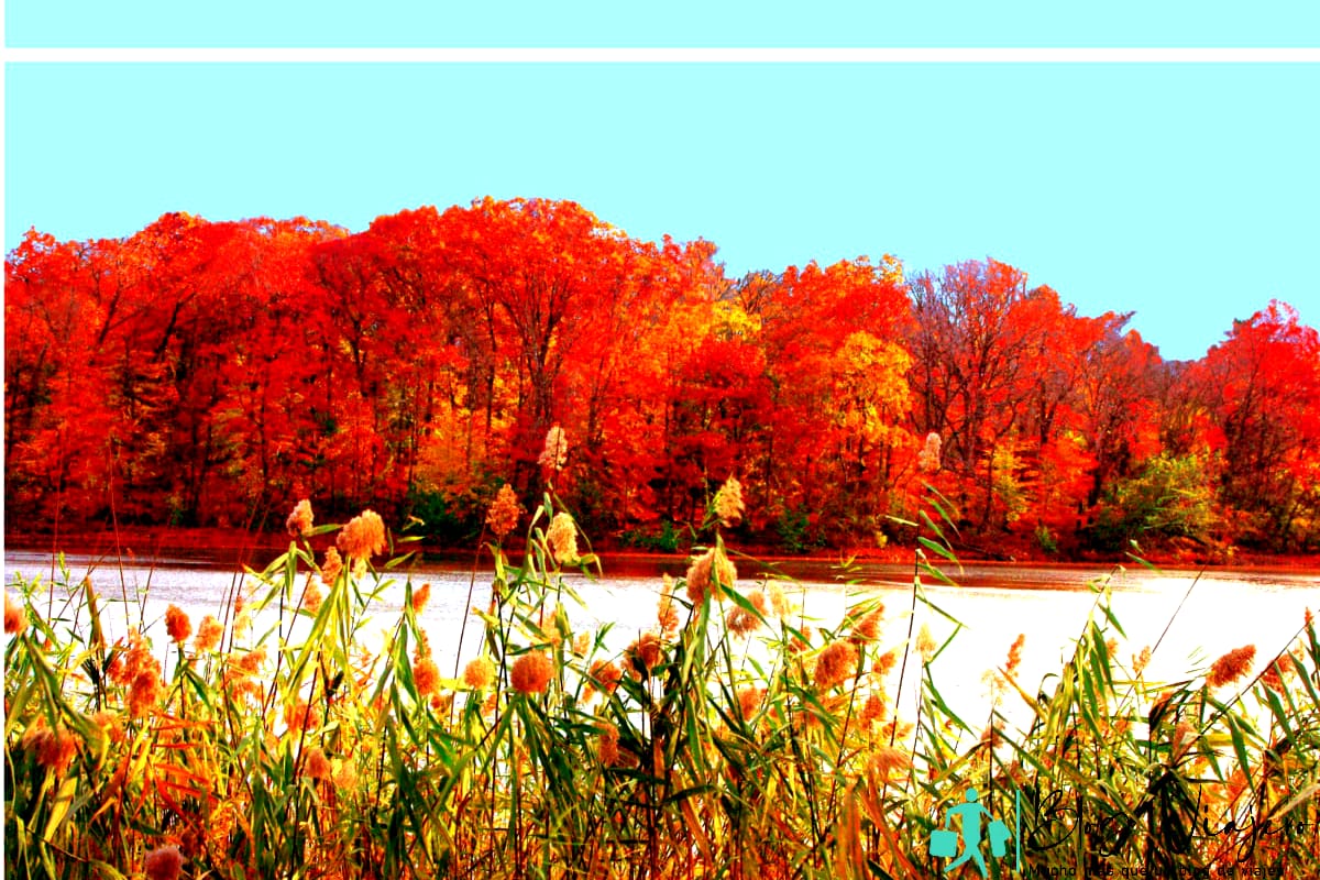 Parques del condado de Westchester - Twin Lakes en Eastchester, Nueva York