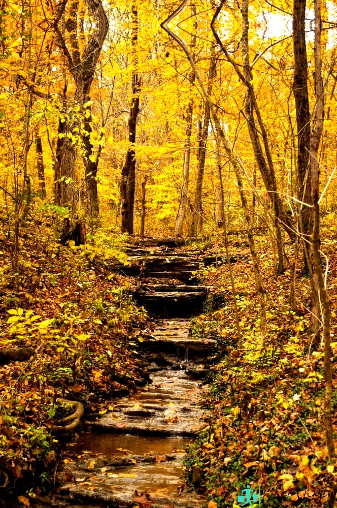 Arroyo arbolado en Cherokee Park, Louisville Kentucky - Rutas de senderismo en Kentucky