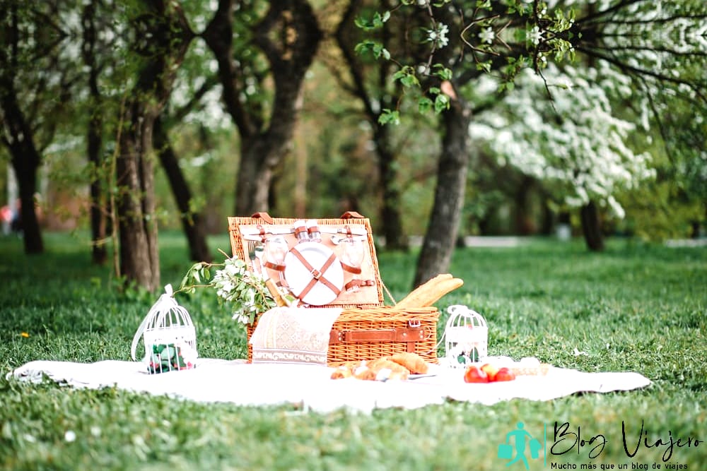Cosas gratis para hacer en Moscú, Idaho: un acogedor picnic en la naturaleza en Ghormley Park