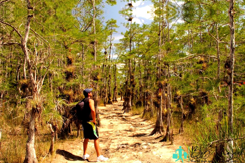 Reserva Nacional Big Cypress - Parque Nacional en Florida