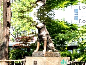Hatchiko dog statue