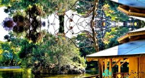 Parque de El Capricho